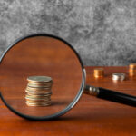 The Hidden Cost of Government Subsidies