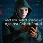 Profit as Protection: Why Companies, Not Governments, Lead the Fight Against Cyber Fraud